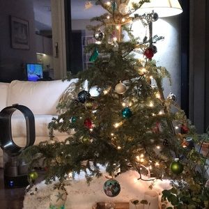 Meet your Posher, Evdokia